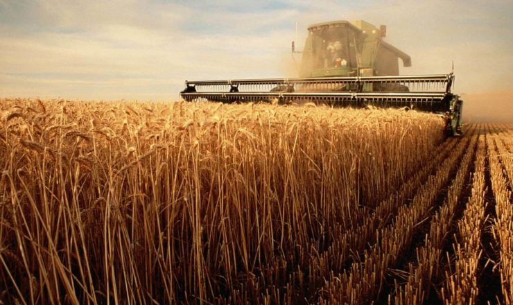Agricultural Industry
